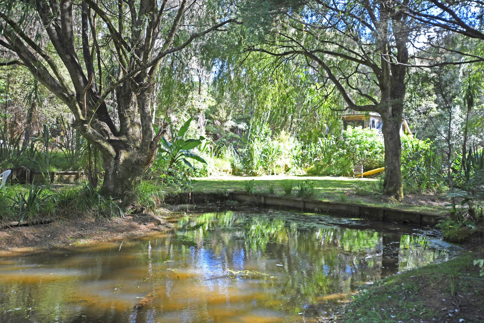 594 Matakana Valley Road, Matakana, Auckland - Rodney, 2 Schlafzimmer, 0 Badezimmer