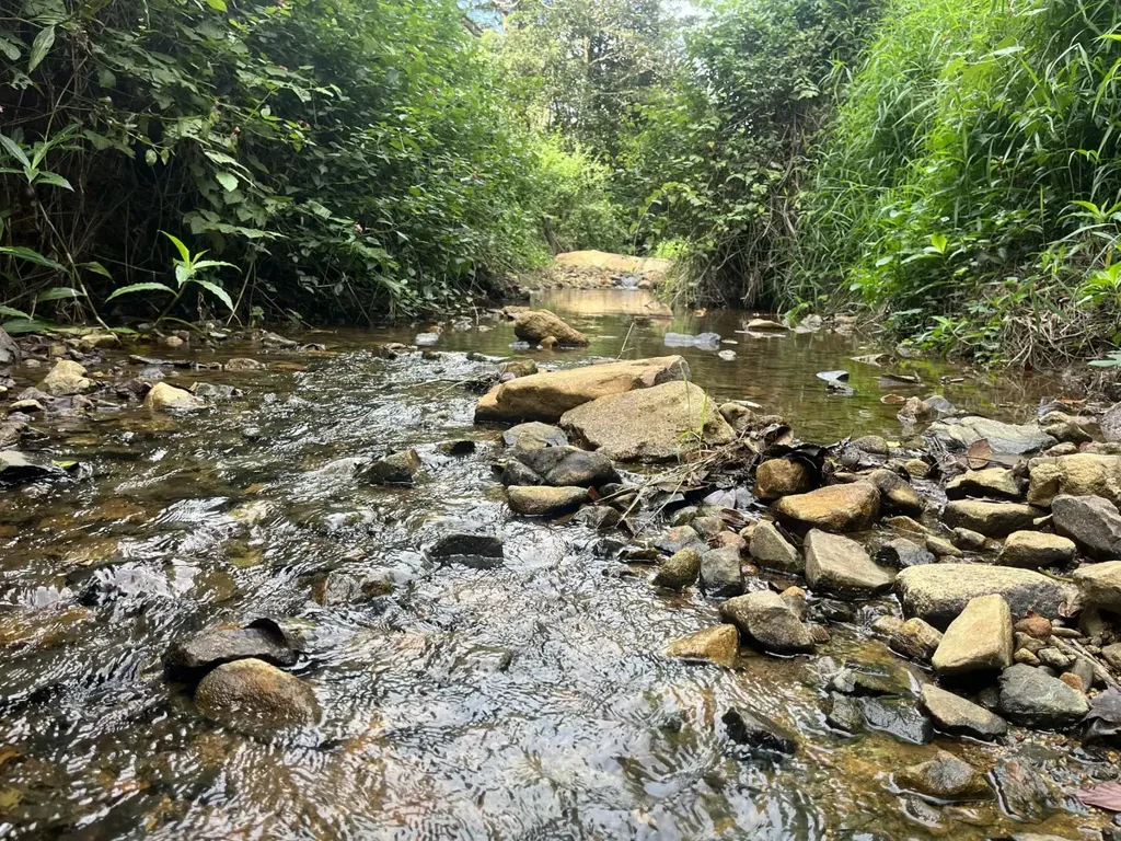 Eungella Extra large block with great potential in the heart of Eungella