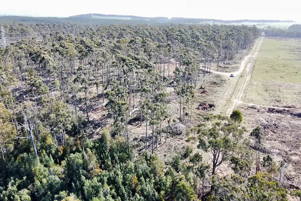 Sassafras Your Dream Starts Here - Nearly 40 Acres with a Ready House Site