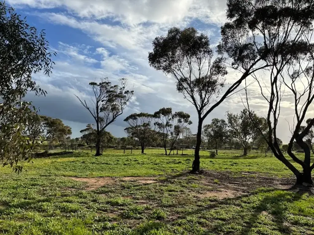 Goomalling 1.46 Hectares – Build Your Dream Lifestyle
