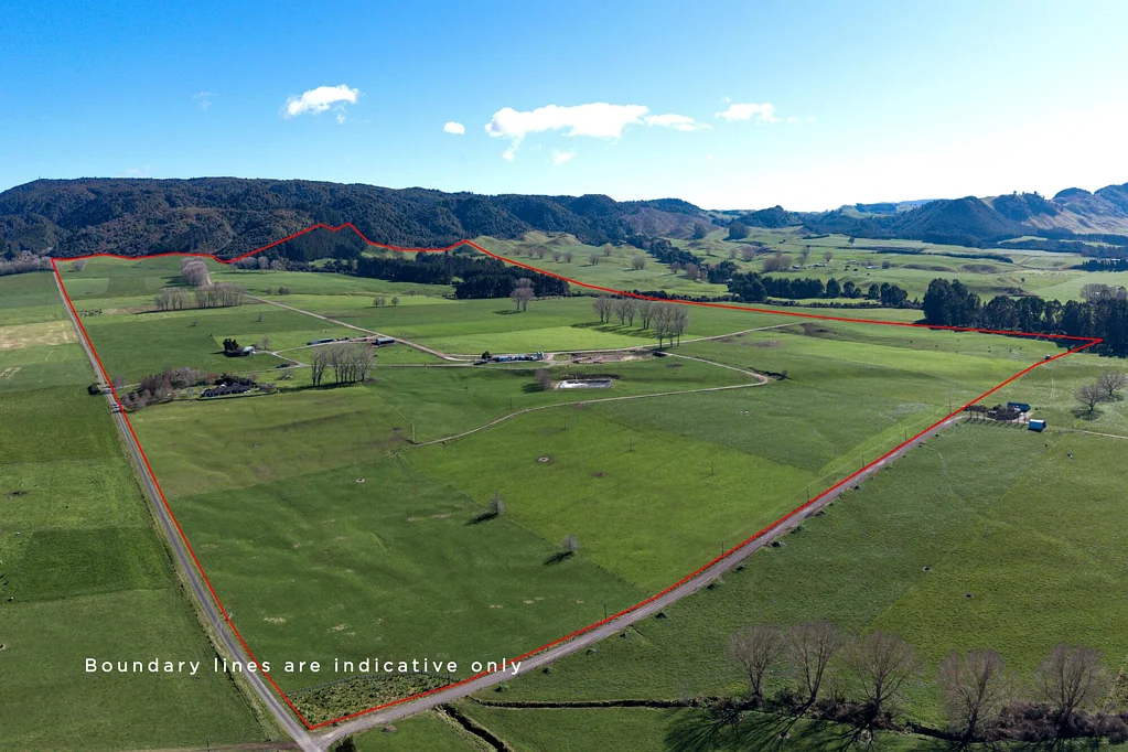Reporoa and Surrounds An Exceptional Reporoa Farming Opportunity