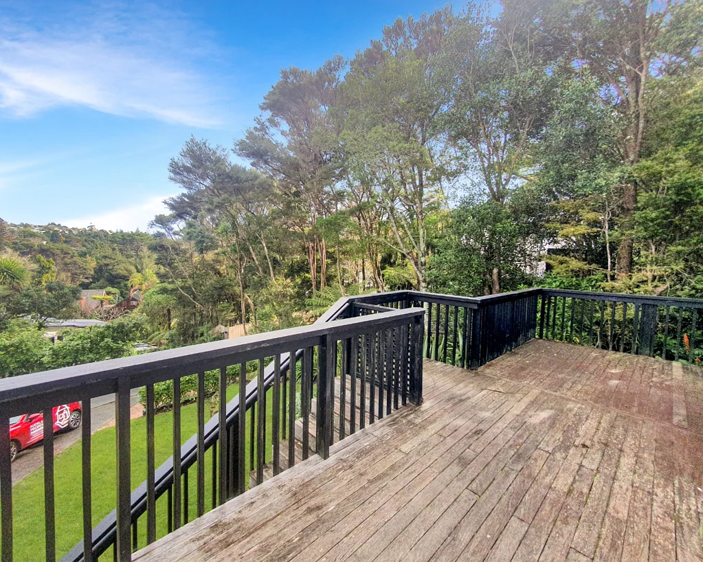 Birkenhead four bedroom with elevated tree top views!