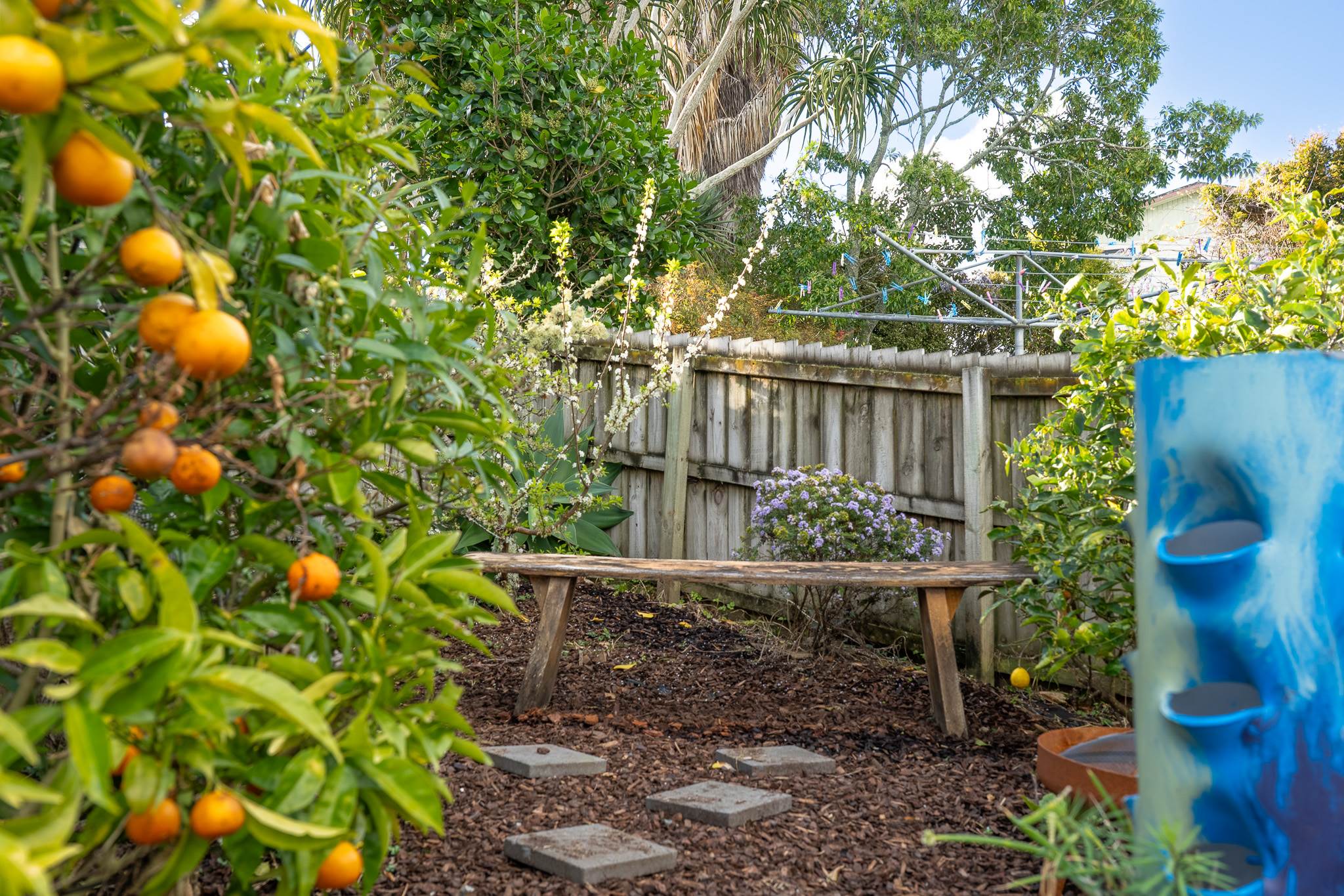 68B Sartors Avenue, Browns Bay, photo 10