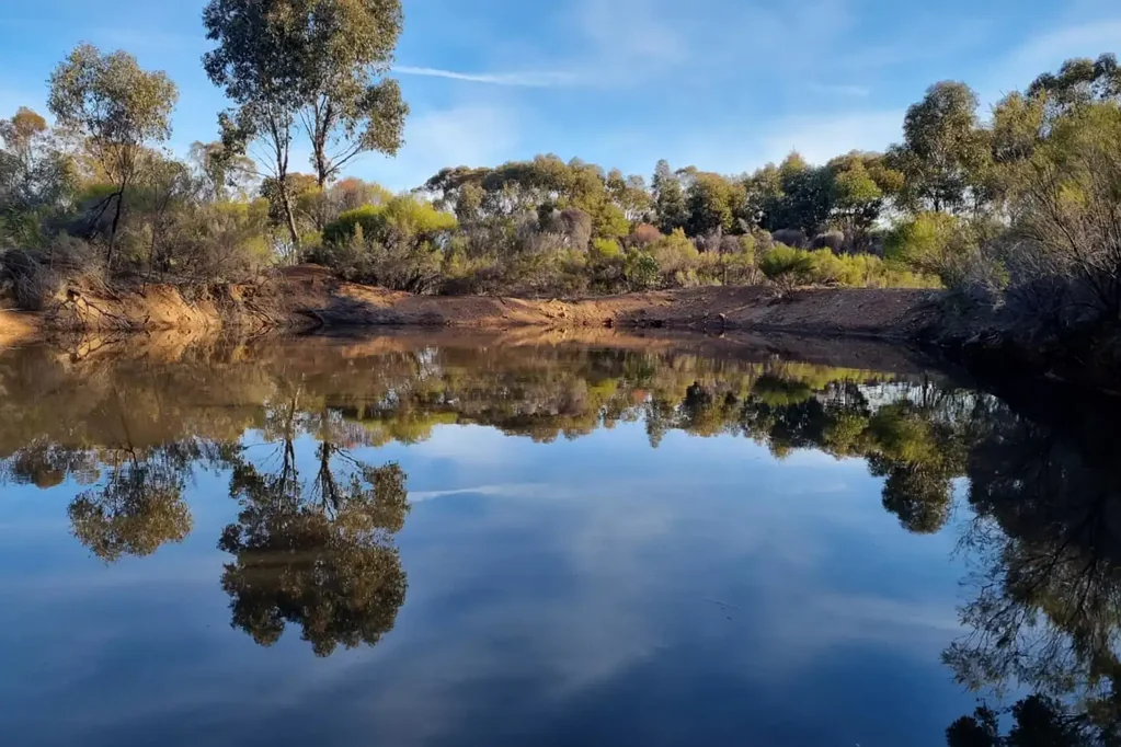 Wedderburn TRANQUIL 20 ACRE BUSH BLOCK!