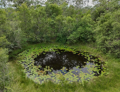 Lot 102 Pacific Highway, Coolongolook, Hunter, 2 habitaciones, 1 baños, Lifestyle Section