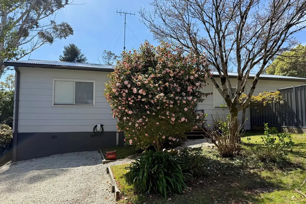 Bright, Modern, Single Level Home in Quiet Street