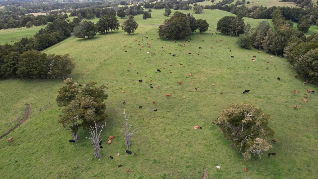 Okaihau 271ha Okaihau Finishing Unit