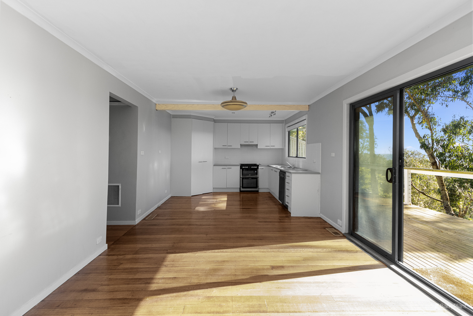 13 GOVERNMENT RD, THE BASIN VIC 3154, 0 habitaciones, 0 baños, House