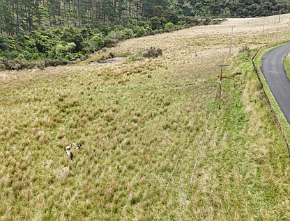 - State Highway 4, Parikino, Wanganui, 0房, 0浴, Lifestyle Section