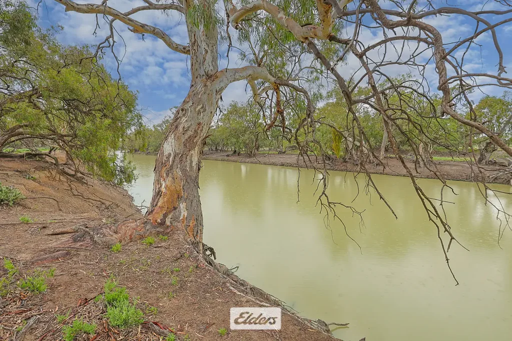 Wentworth WONDERFUL DARLING RIVER FRONTAGE