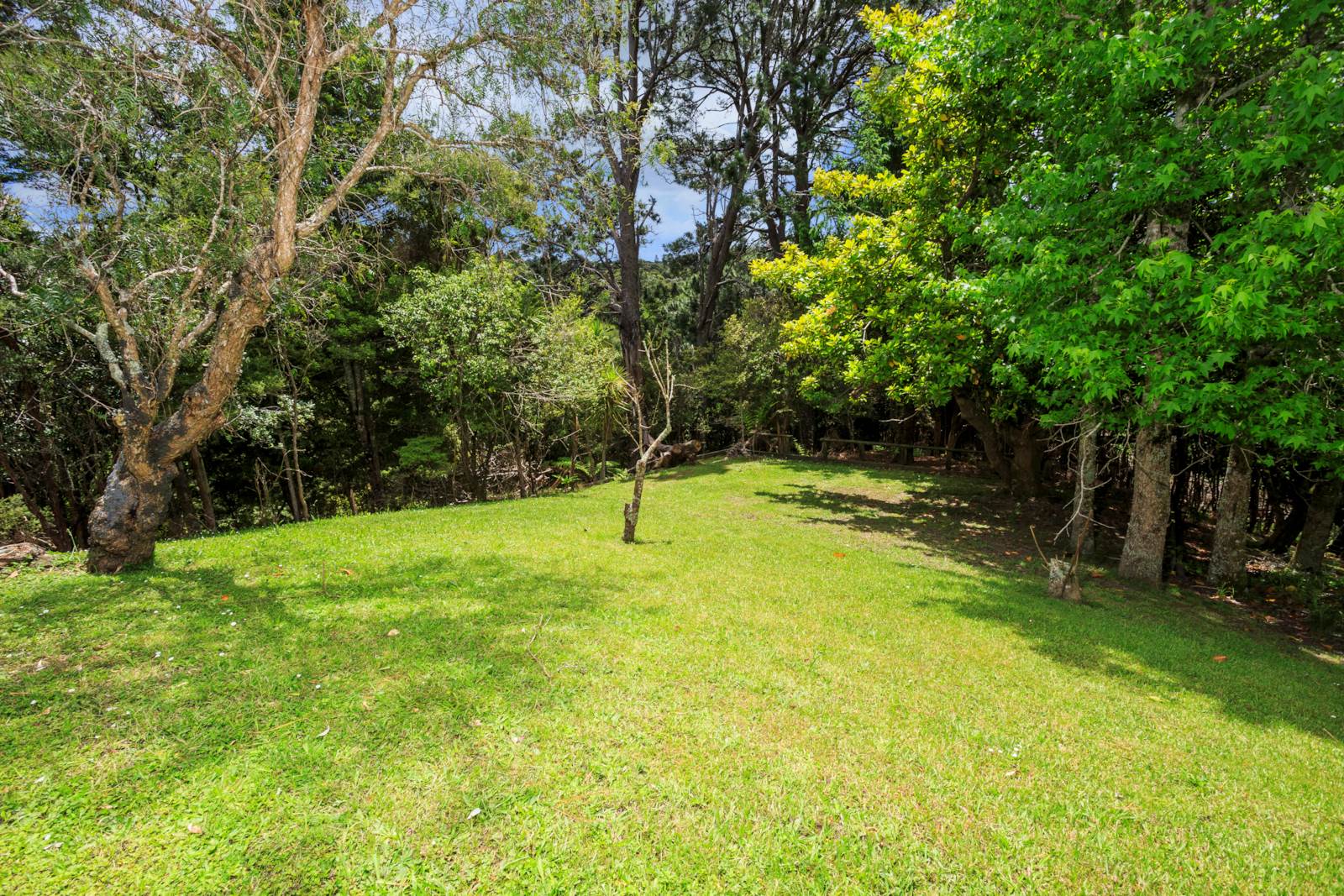 404 Dairy Flat Highway, Albany Heights, Auckland - North Shore, 3 Bedrooms, 0 Bathrooms