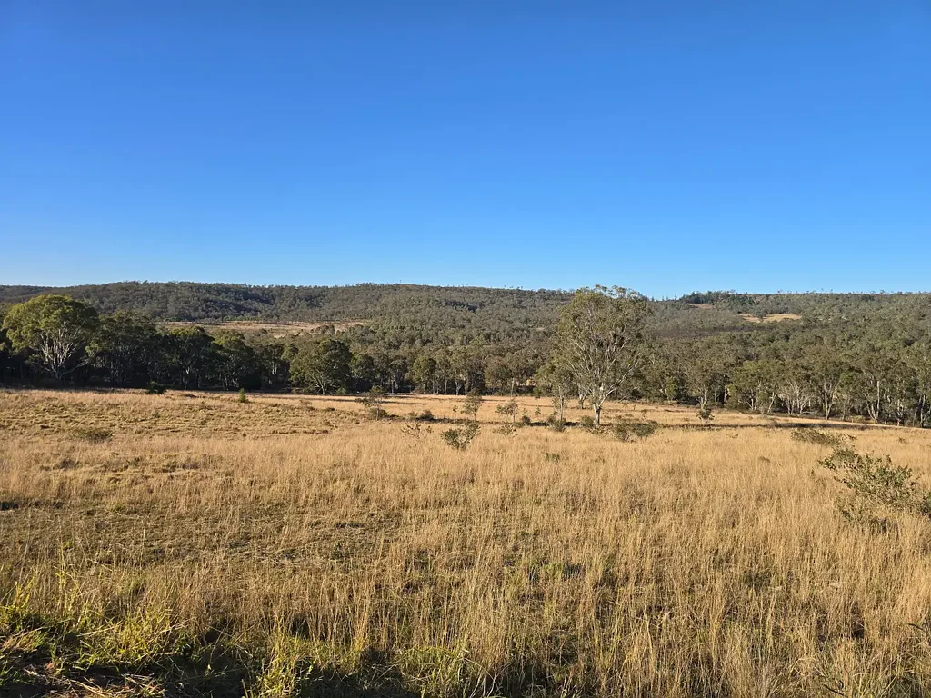 Thornville Great Starter Block - Grazing & Lifestyle