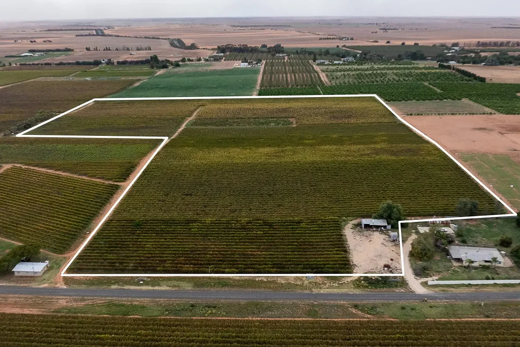 Loxton Lot 795 Drummond Avenue, Loxton & Lot 22 Rattey Road, Loxton