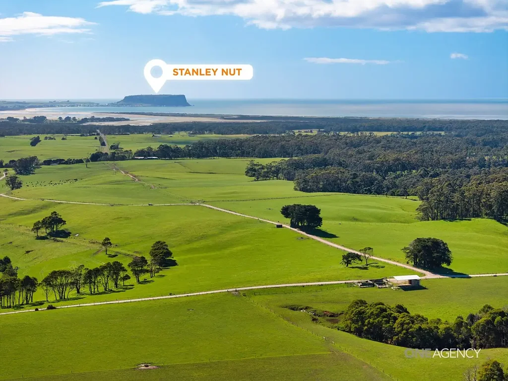 South Forest  150 Acres of Premium Land with Excellent Infrastructure
