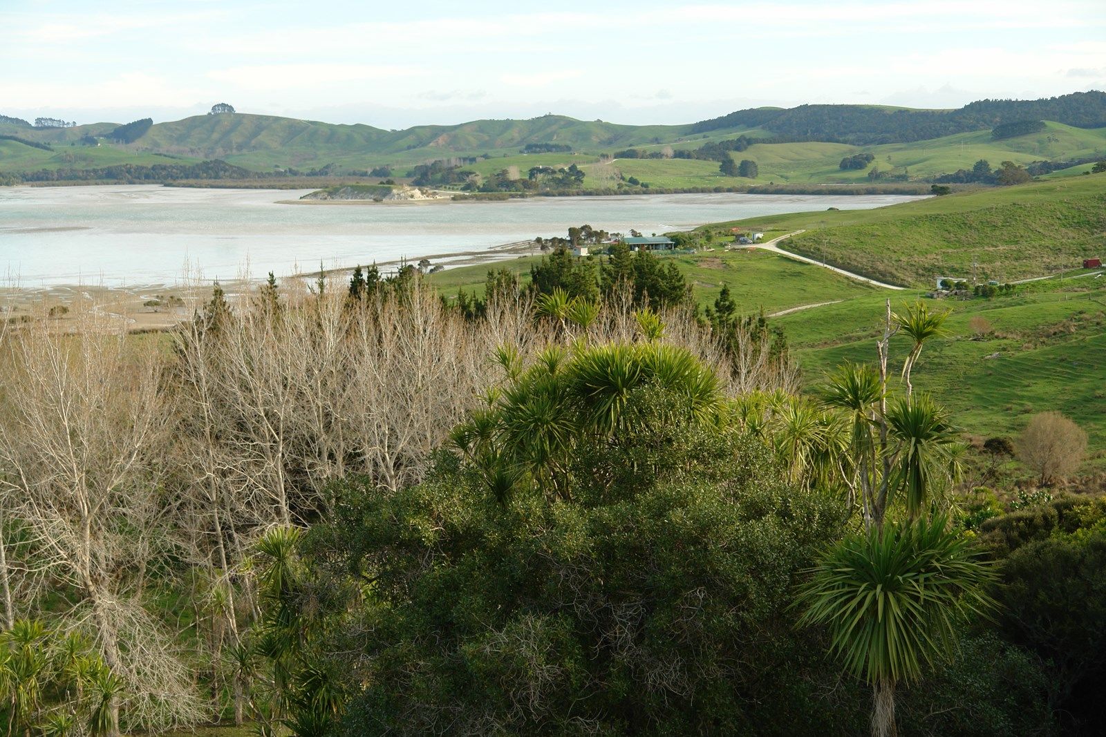 Otara Road, Kaiwaka, Kaipara, 0房, 0浴