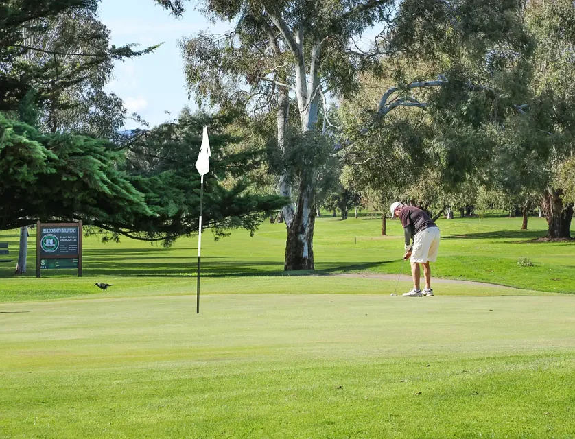 7 Elvins Street, Mansfield, VIC 3722, 4部屋, 2バスルーム, House