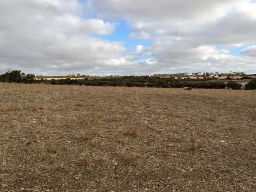 Lot 125 Lake View Road, Minlaton, SA 5575