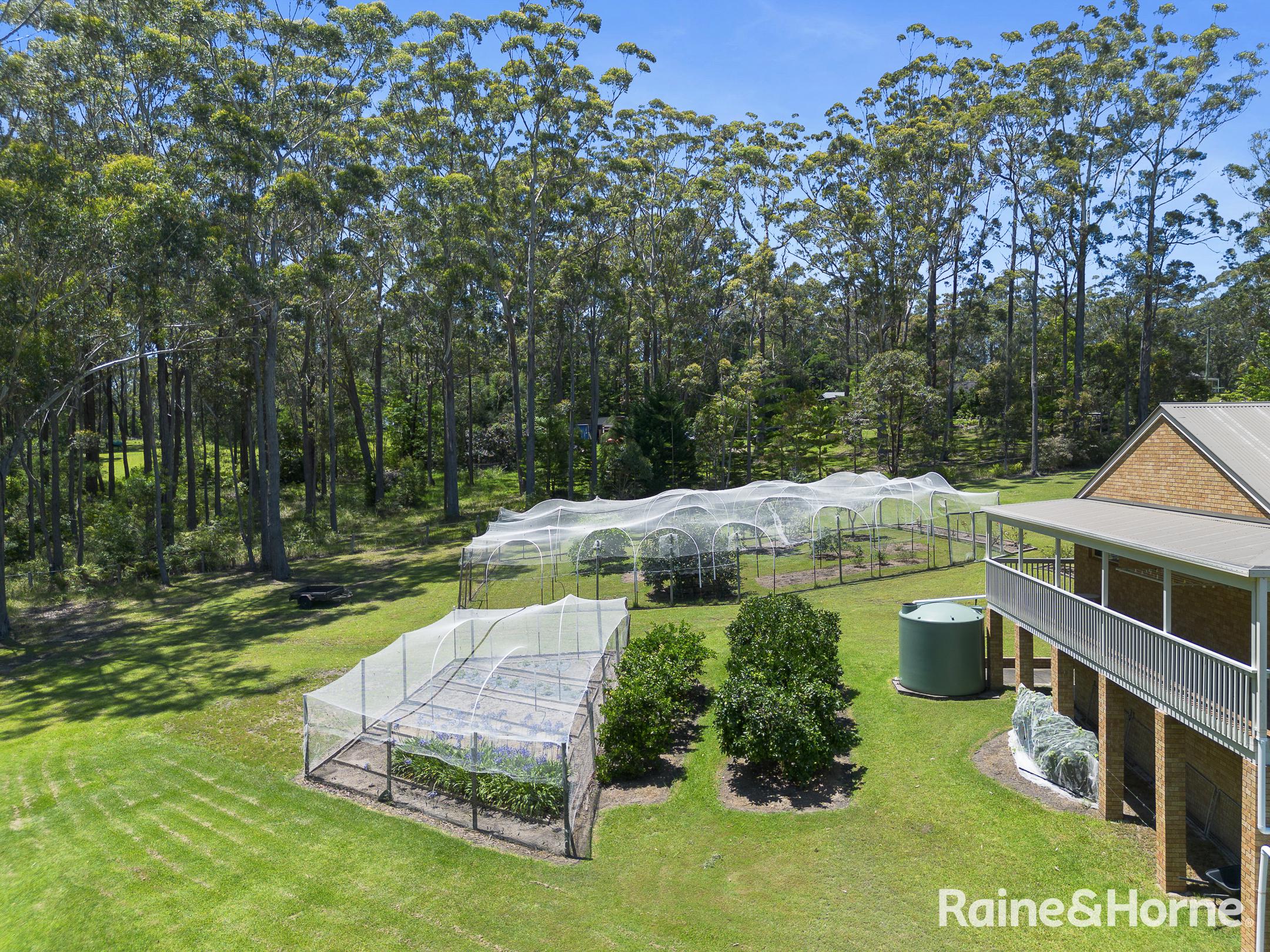 31 WOODGROVE DR, ULLADULLA NSW 2539, 0部屋, 0バスルーム, House