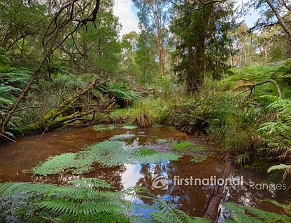 31 Coulson Road, Monbulk, East Melbourne, 0 ਕਮਰੇ, 0 ਬਾਥਰੂਮ, Section