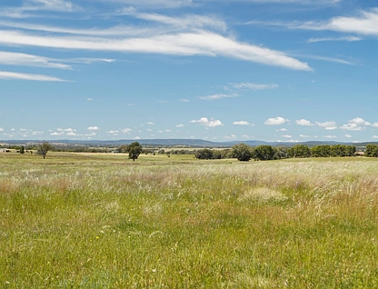 Lot 2 Renshaw Mcgirr Way, Parkes, Central Tablelands, 0 कमरे, 0 बाथरूम, Section
