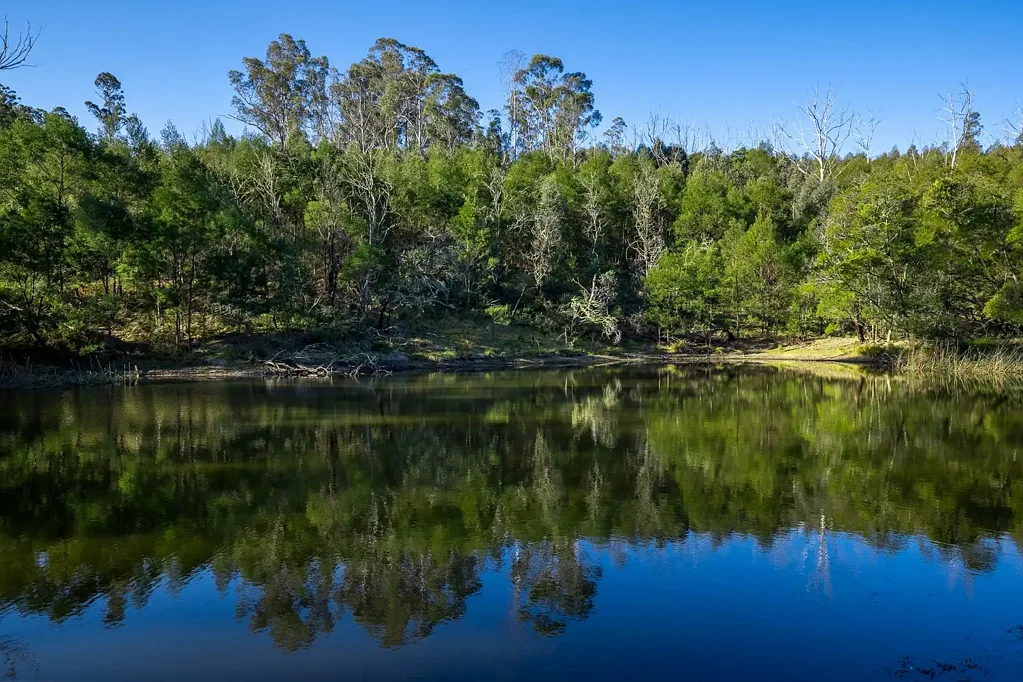 Brogo 54 Acres, Off-Grid Opportunity, Dwelling Entitlement