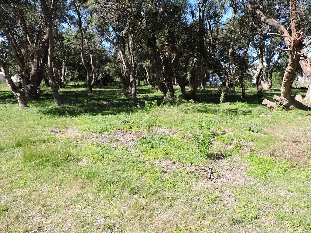 Golden Beach Big Land, Even Bigger Bargain! ***NEW LOW PRICE!***