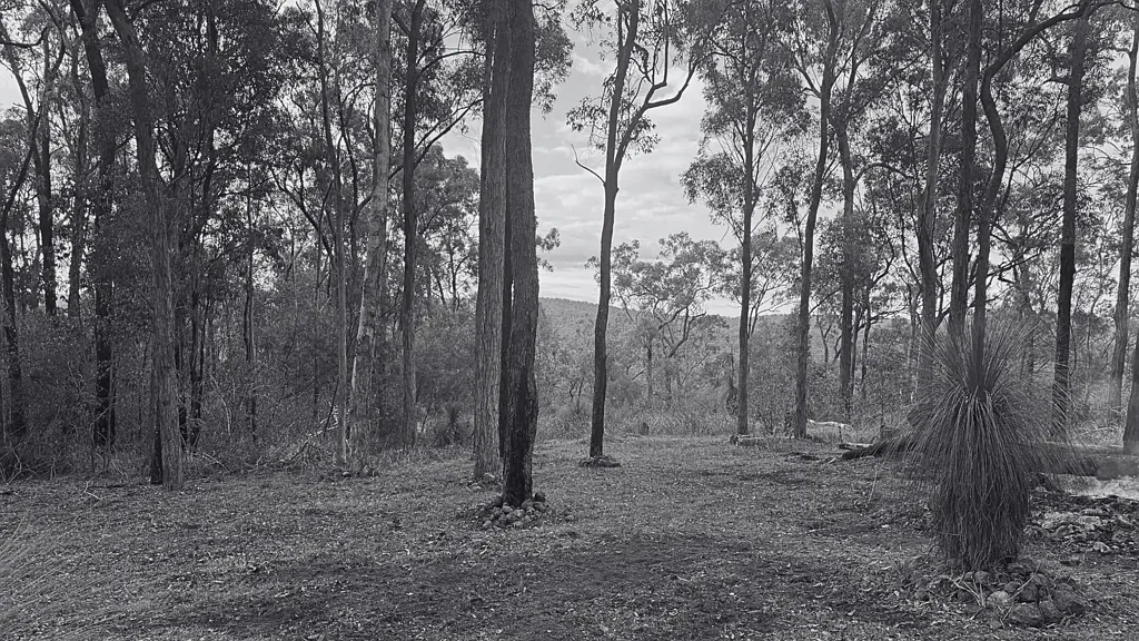 Lot 363 Tamrookum Creek Road, Tamrookum Creek, QLD 4285
