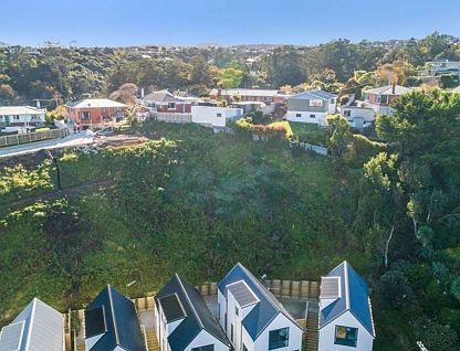 c Heath Street, Andersons Bay, Dunedin City, 0 ਕਮਰੇ, 0 ਬਾਥਰੂਮ, House