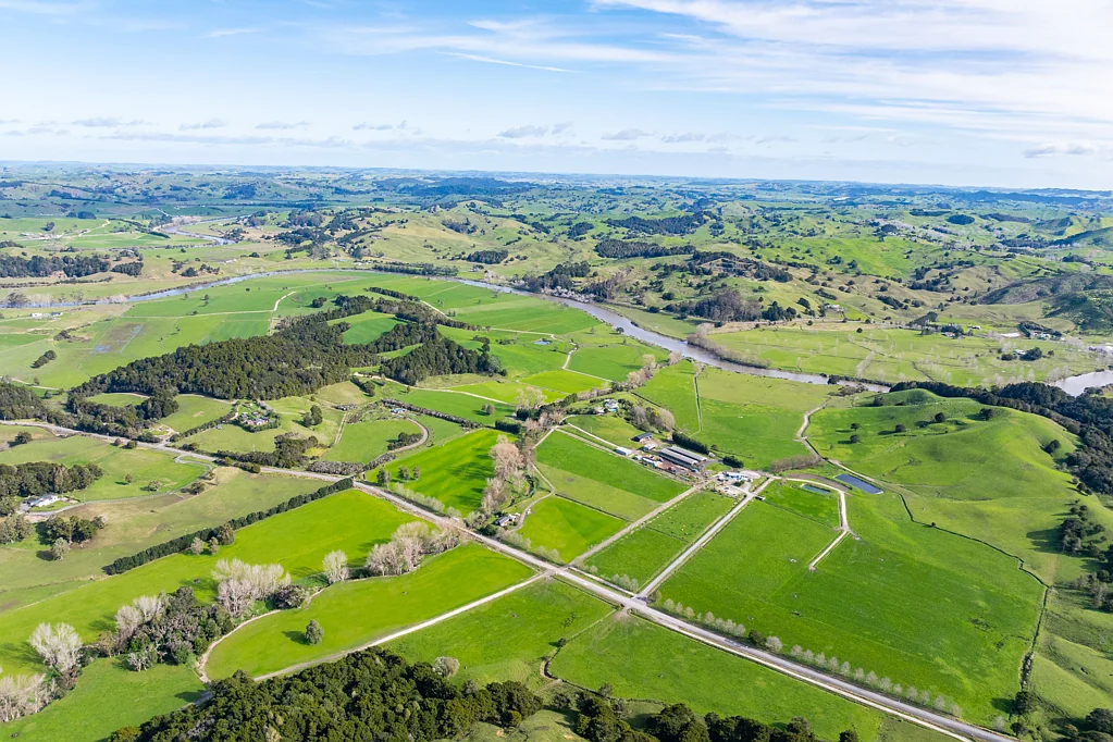 Tangiteroria Attractive large dairy and beef operation