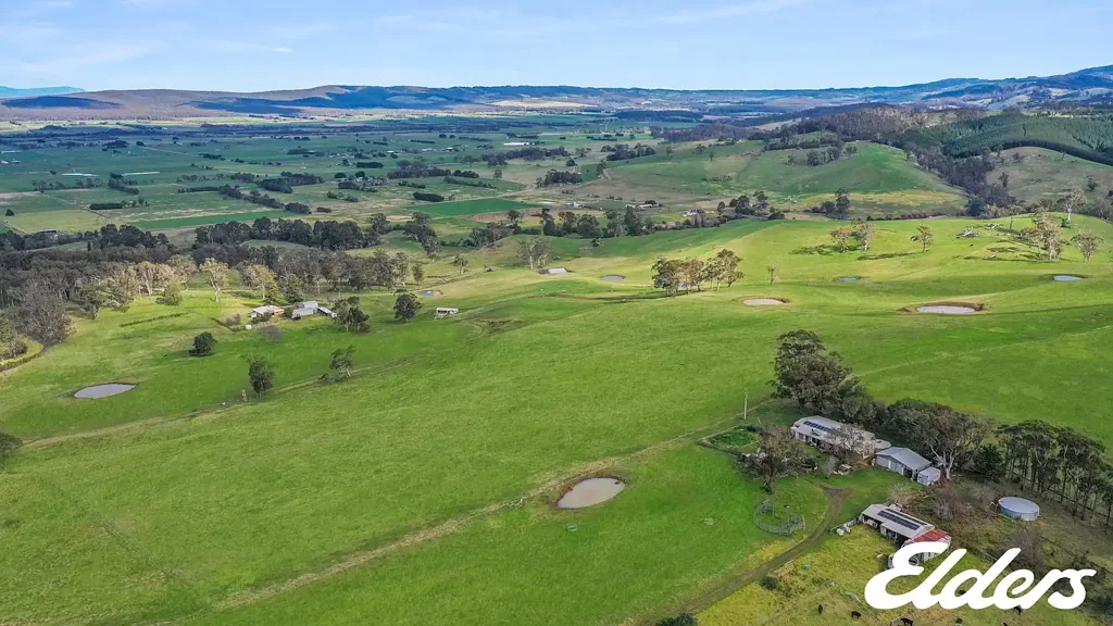 Jack River QUIRKY, QUIET & FULL OF SOUL - 90 ACRES OF PROM COUNTRY MAGIC