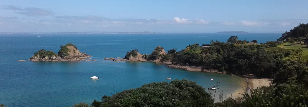 Rakino Island Often Sought and Seldom Found