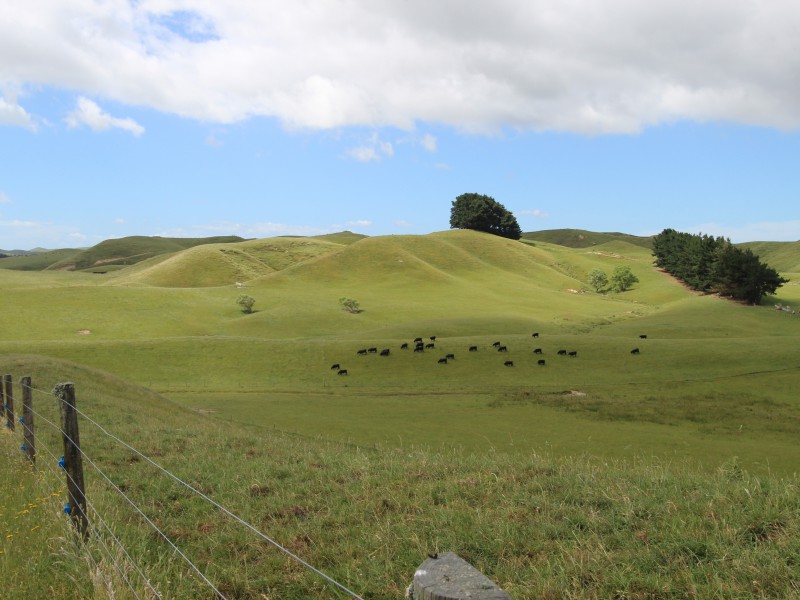 127 North Road, Eketahuna, Tararua, 0 phòng ngủ, 0 phòng tắm