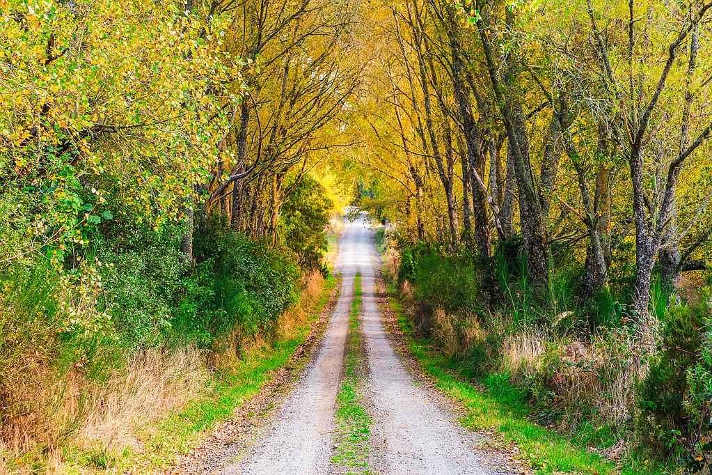 Lake Taupo (West)  Picture Perfect Lifestyle