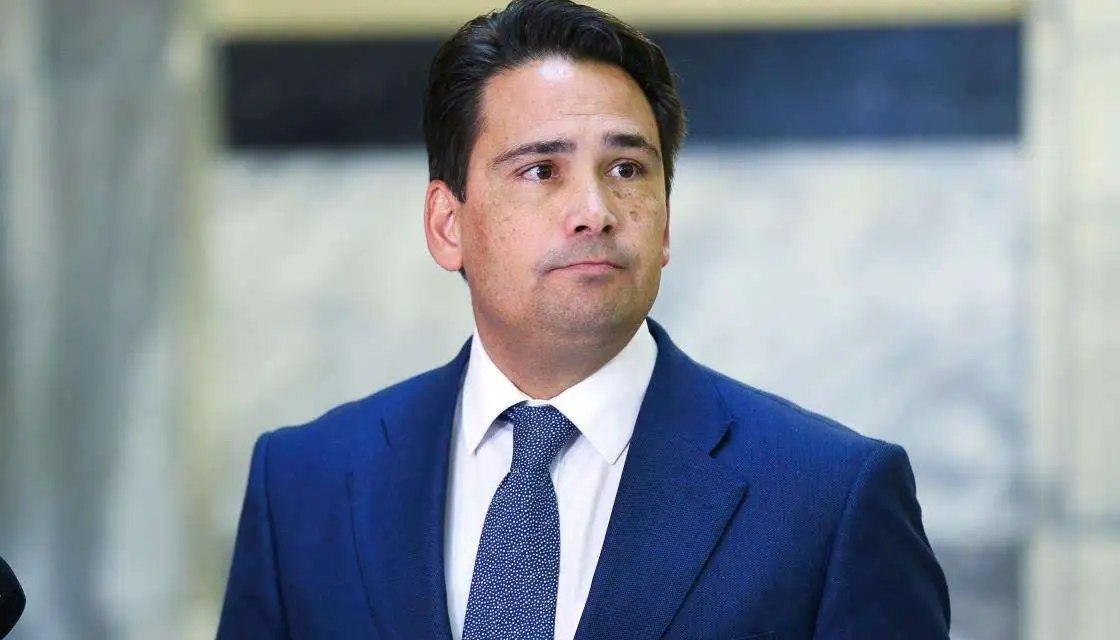 Simon Bridges：经济第一！就算有更多人感染，也要立刻全面复工！