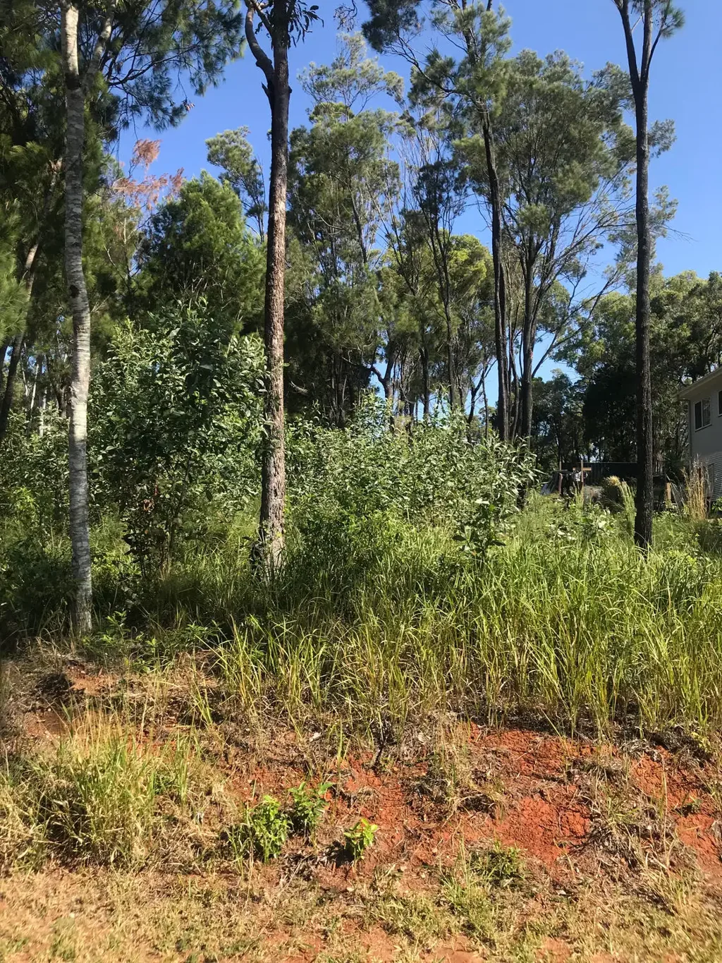 44 Hastings Terrace, Macleay Island, QLD 4184