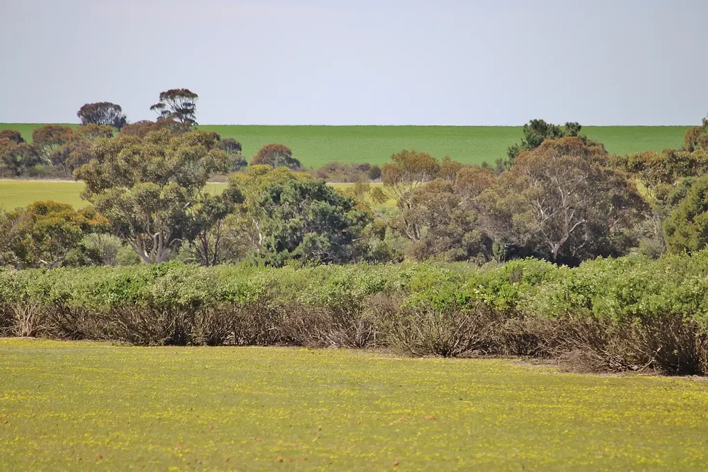Dudinin LIFESTYLE PARADISE (409 acres)