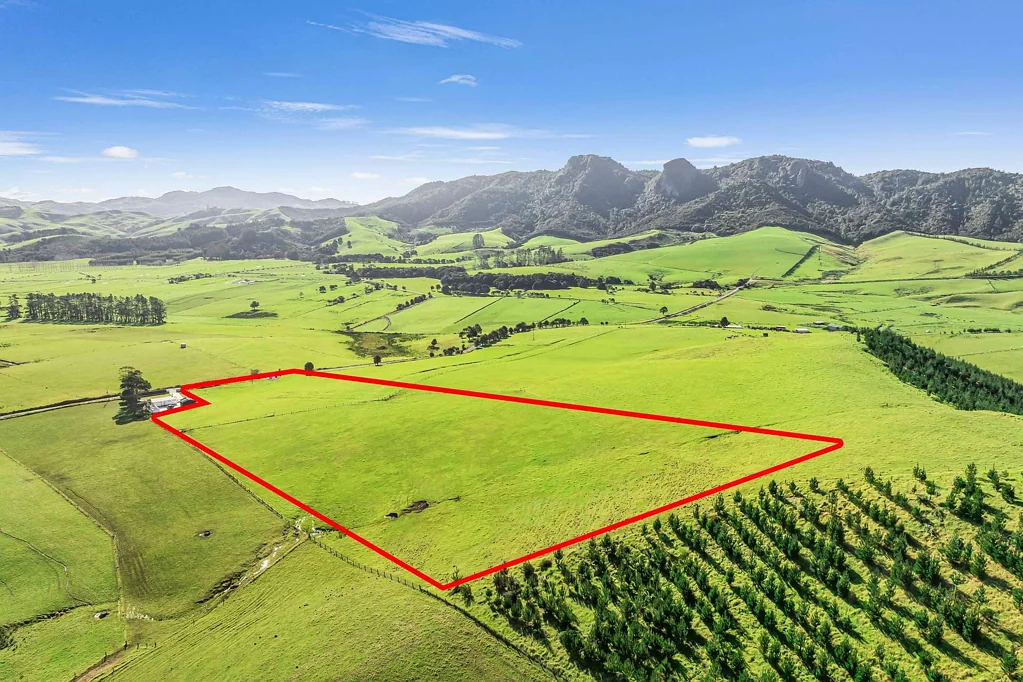Taupo Bay/Totara North  Back to Land - Forward to Freedom