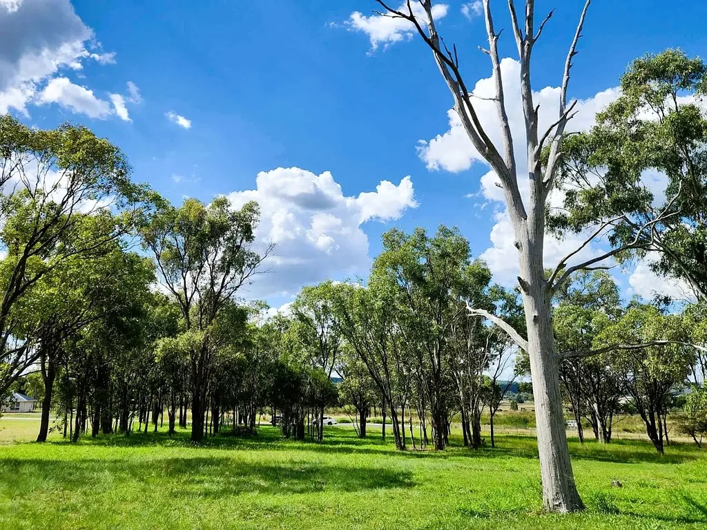 Rosenthal Heights Massive 4000m2 Block of Land in Prestigious Rosenthal Heights Estate