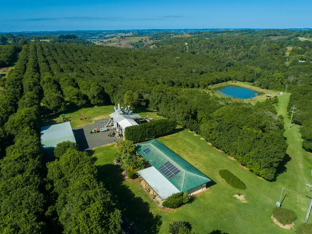 153 Fletcher Road, Dunoon, NSW 2480