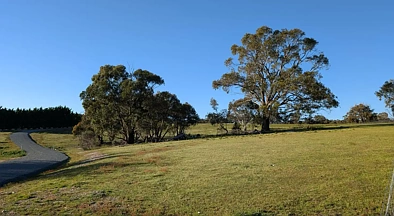 204 Goolabri Drive, Sutton, NSW 2620, 0 Bedrooms, 0 Bathrooms, Section