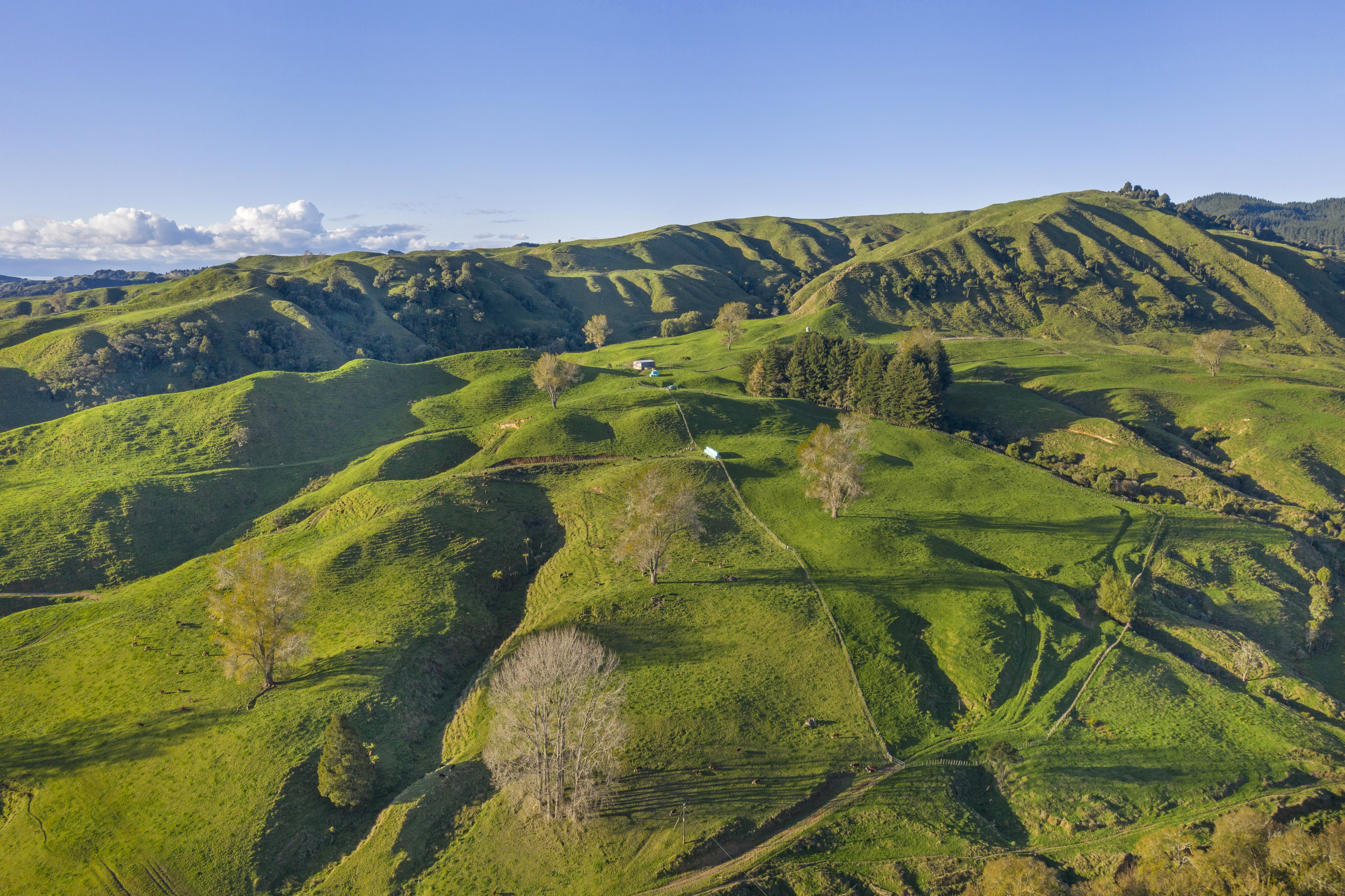 3099 State Highway 4, Aria, Waitomo, 0 phòng ngủ, 0 phòng tắm, Specialist Livestock