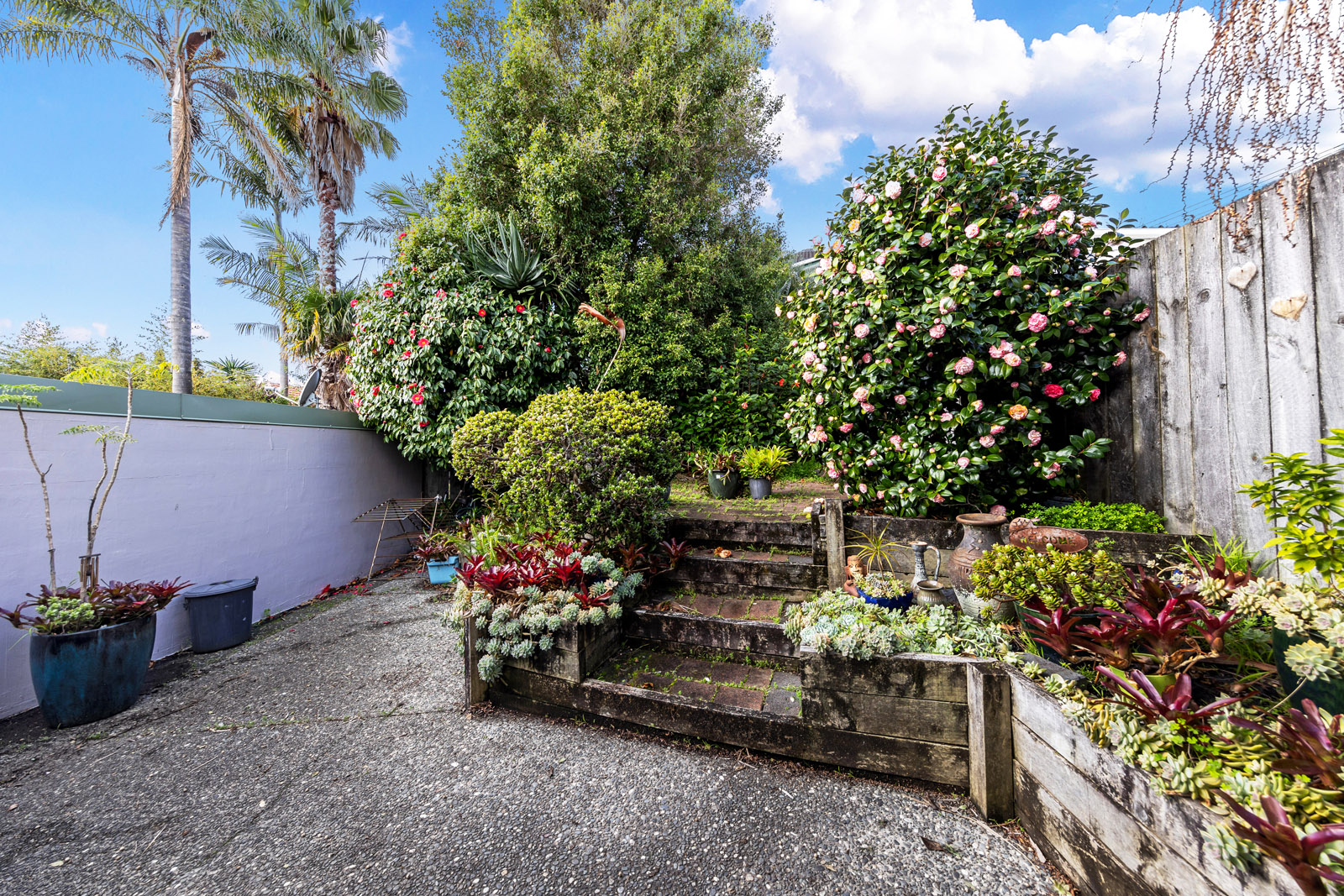 2/146 Saint Johns Road, Saint Johns, Auckland, 1房, 1浴, Unit