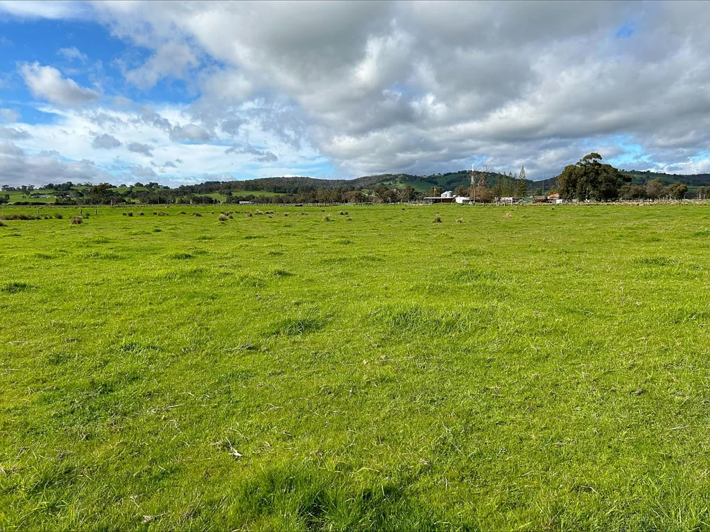 Lot 202, 58 Melville Road, Brunswick, WA 6224