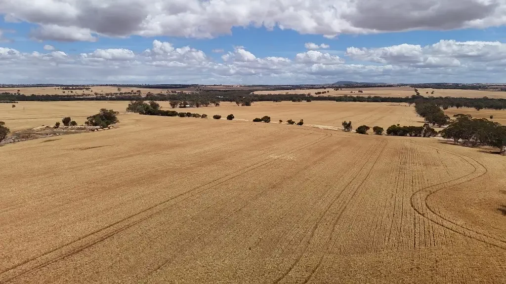 Caljie Prime Cropping, Livestock, Lifestyle Land on the Mortlock River 55.92ha(138ac)