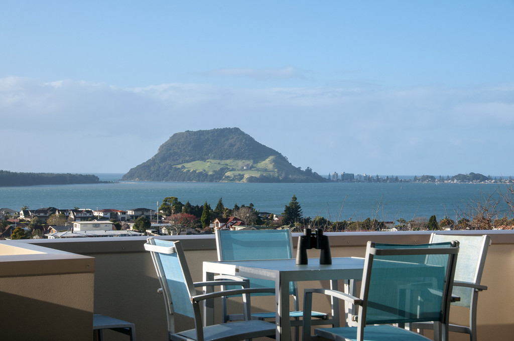 20 Western Road, Otumoetai, Tauranga, 4部屋, 0バスルーム