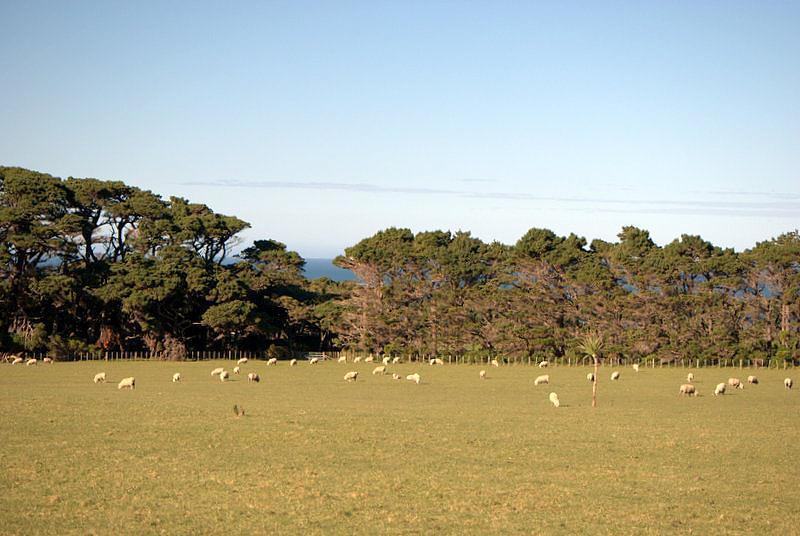 Western Lake Road, Ocean Beach, South Wairarapa, 0房, 0浴