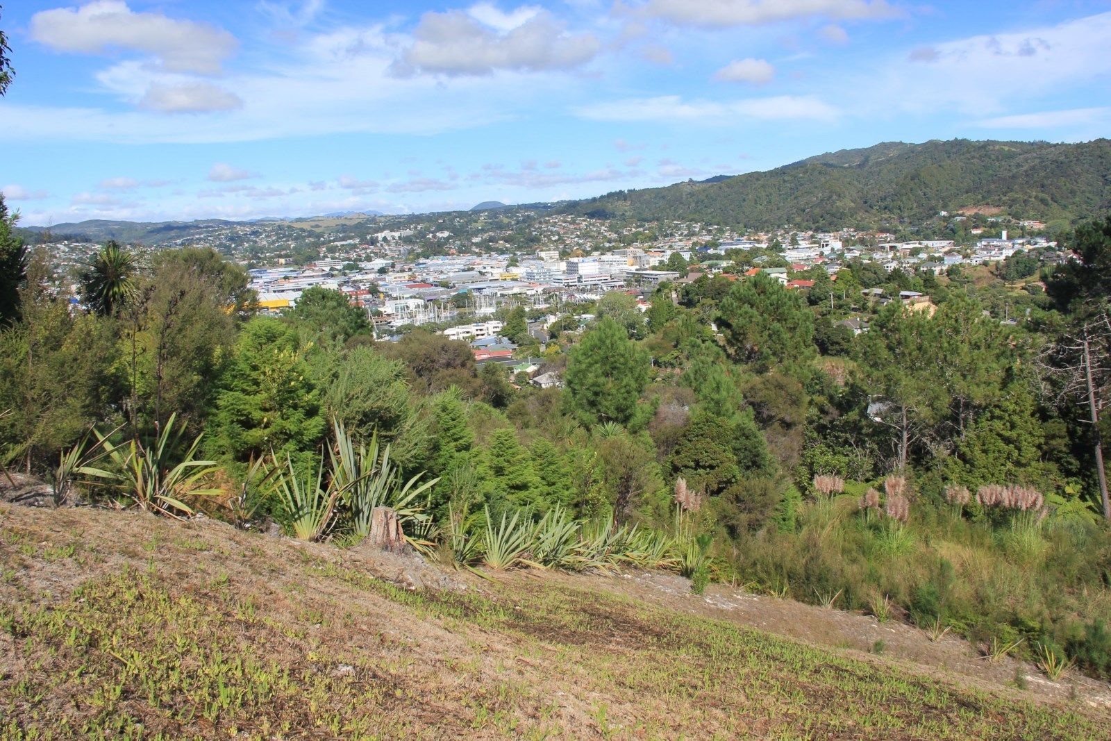 5 Dundas Road, Riverside, Whangarei, 0 Kuwarto, 0 Banyo