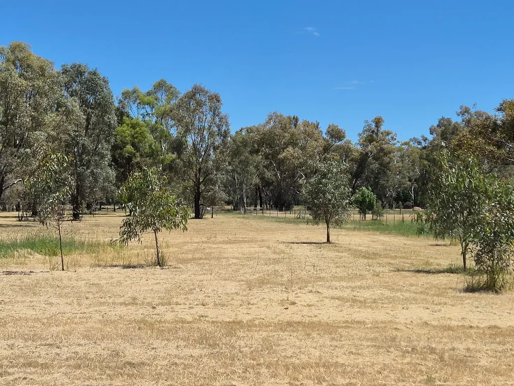 Violet Town 2 Acres - Bitumen Frontage - Established Trees - Short Drive to Shopping
