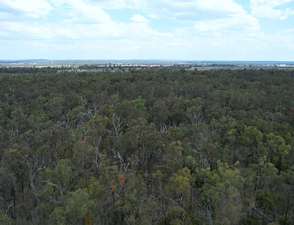 Lot 42 Mosquito Creek Road, Canning Creek, Darling Downs, 0 chambres, 0 salles de bain, Lifestyle Property