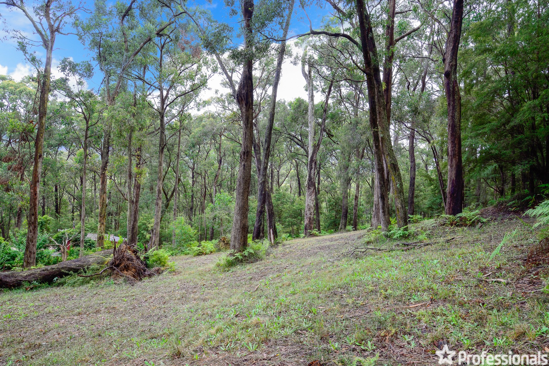 6 YARRA VALLEY CR, EAST WARBURTON VIC 3799, 0 habitaciones, 0 baños, Section